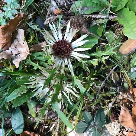 酒店 Der Distelhof - Ihr Land- Und Tagungshotel Zwischen Rennsteig Und Rhoen