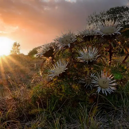 Der Distelhof - Ihr Land- Und Tagungshotel Zwischen Rennsteig Und Rhoen Dillstadt