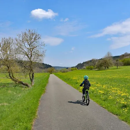 Der Distelhof Mit Scheunencafe 3* Dillstadt