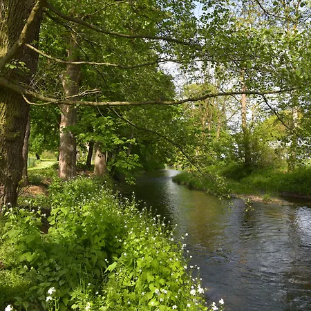 Hotel Der Distelhof - Ihr Land- Und Tagungshotel Zwischen Rennsteig, Rhoen & Werratal Dillstadt
