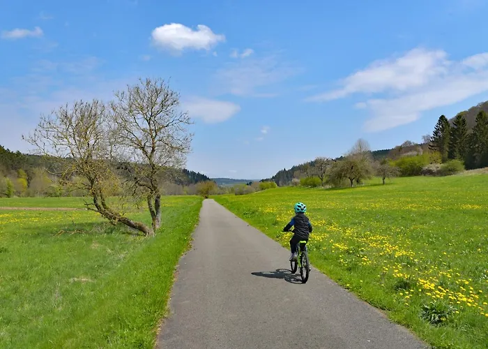 Der Distelhof Mit Scheunencafé 3* Dillstadt